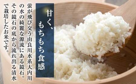 令和7年産　鏡石（ミルキークイーン）5kg ふるさと納税 米 こめ 5kg コメ 京ほたる 鏡石 清流 源流 もちもち 食感 甘み 香り 京都府 福知山市 京都 福知山 奥京都 FCAZ003