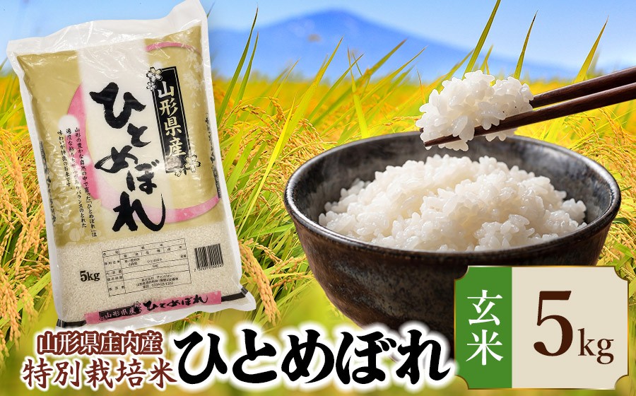 
                  【令和7年産】 特別栽培米 ひとめぼれ 玄米 5kg (5kg×1袋)　山形県 庄内産 　| 5キロ 米 お米 コメ 食品 ご飯 ごはん 美味しい おいしい ブランド米 庄内米 エコ包装 おすすめ 人気 山形県 鶴岡市 東北 国産 お取り寄せ SDGs未来都市鶴岡 返礼品
                