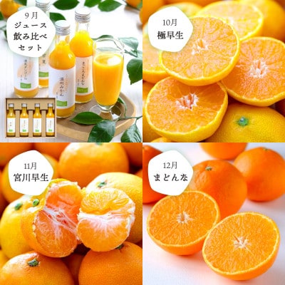 【発送月固定定期便】愛媛の人気品種を厳選!みかん定期便(秀品)【H25−166】全12回【配送不可地域：離島】【4054625】
