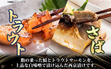 全2回定期便 毎月お届け さば西京漬160g（4切）×2個・トラウト西京漬140g（2切）×2個×2回 計1.2kg