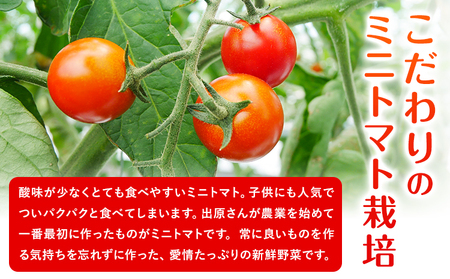 ミニトマト 2kg 出原農園 《1月上旬-5月末頃出荷》 岡山県 矢掛町 野菜 ミニトマト もぎたて 新鮮 st-p