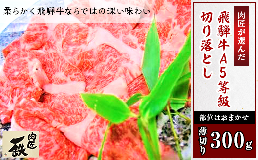 肉匠が選んだ飛騨牛A5等級切り落とし　300g(薄切り)