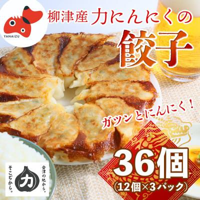 ふるさと納税 柳津町 【ガツンとにんにく!】力にんにくを使った餃子【冷凍】　36個(12個×3パック)