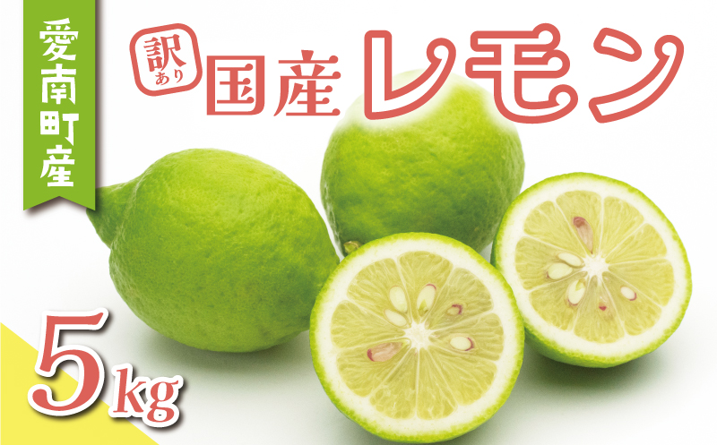 訳あり レモン 5kg 7000円 柑橘 サイズ 不揃い 家庭用 檸檬 国産 フルーツ 果物 果実 産地直送 農家直送 数量限定 期間限定 特産品 瀬戸内 ワックス 防腐剤 不使用 有機栽培 果汁 人気 新鮮 レモネード 塩レモン レモン酢 レモンソース はちみつレモン レモンケーキ レモンスカッシュ レモンサワー レモン酎ハイ ビタミン くらもとファーム 愛南町 愛媛県