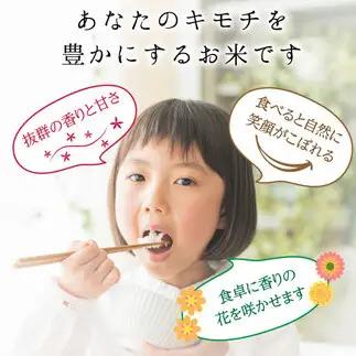 令和8年度　新米 富山県ブランド米 富富富 無洗米 5kg ふふふ ブランド米 国産 米 お米 日本米 ギフト 贈り物 備蓄 防災 食品 陽咲玲 はるざれ F6T-1050