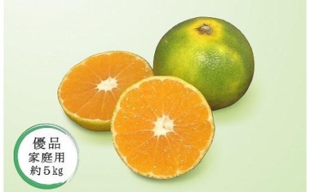 【2026年10月中旬頃から順次発送】【温州みかん】 極早生 優品・家庭用 約5kg | 愛媛 【温州みかん】 【KK0501】