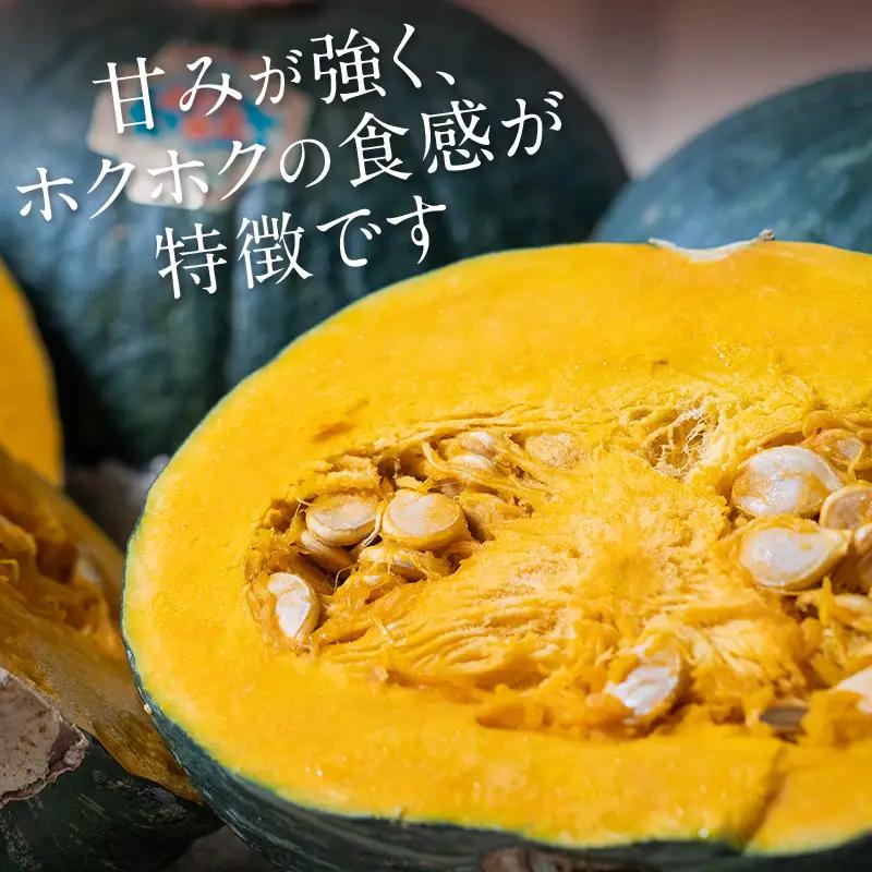 【先行予約】みやこかぼちゃ約9kg 北海道森町産 （令和8年7月下旬～8月上旬順次配送） ＜こうのファーム＞ カボチャ 南瓜 野菜 根菜 煮物 食材 スープ サラダ かぼちゃプリン 天ぷら 北海道 森