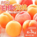 【ふるさと納税】やまがたの桃(白桃・黄桃詰合せ) 品種お任せ 白桃＆黄桃 秀品 約3kg(6〜12玉程度) 【令和7年産先行予約】FS23-813 くだもの 果物 フルーツ 山形 山形県 山形市 2025年産
