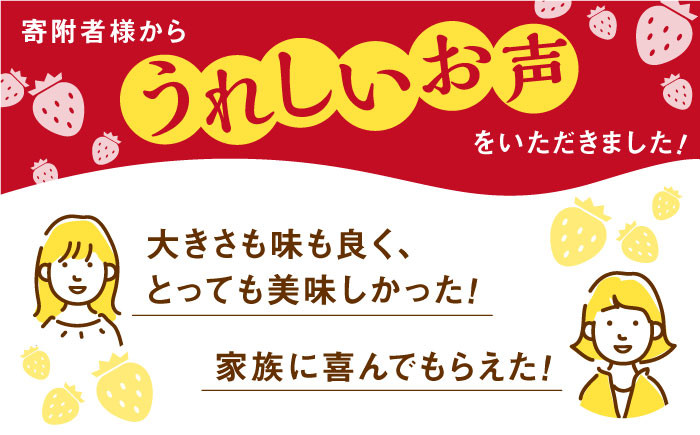 華やかでやさしい甘さの「いちごさん」を2月3月にお届け！