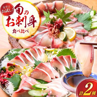 ふるさと納税 日向市 刺身 柵 カンパチ ブリ 少量贅沢 食べ比べセット(日向市)