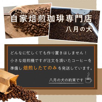 ふるさと納税 京丹後市 【アイスコーヒー用】自家焙煎アイスコーヒー用ブレンドコーヒー豆 500g(250g×2)豆のまま |  | 01