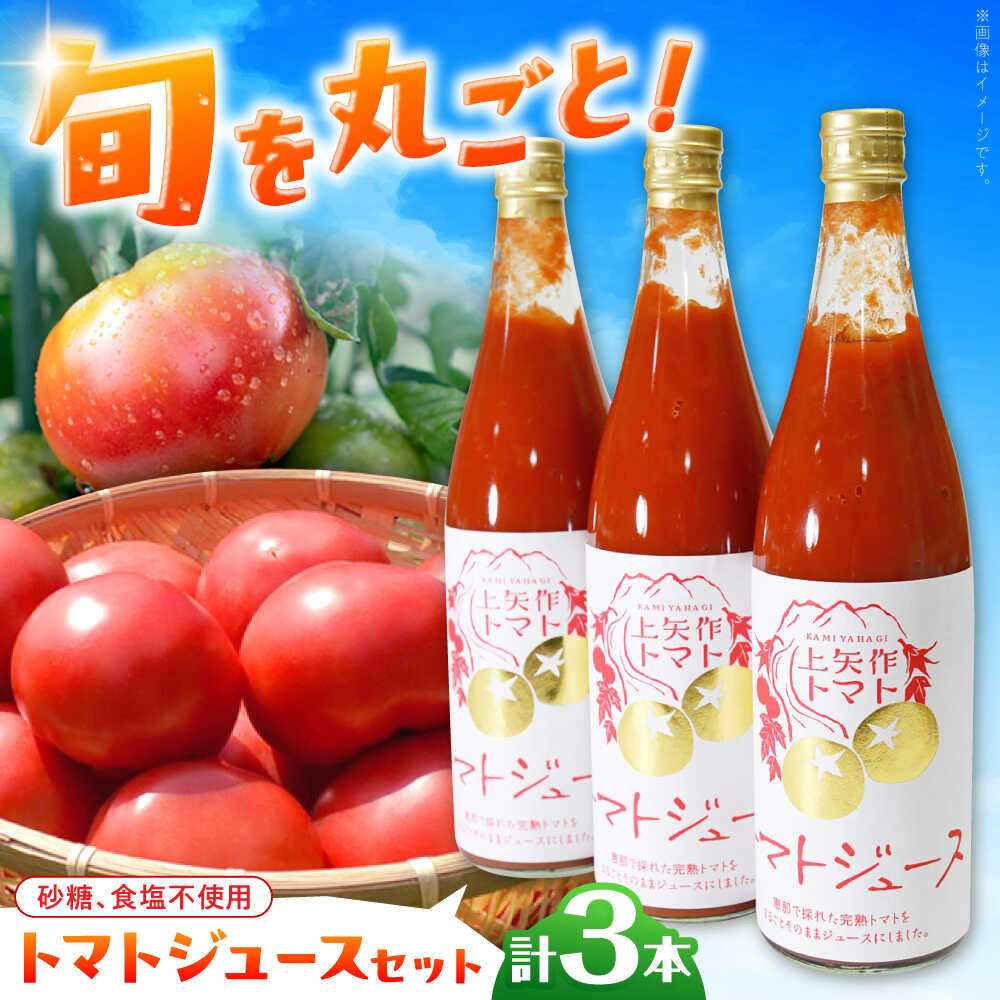 【ふるさと納税】石川農園 みんなで飲もっか！トマトジュースセットE / 完熟トマト とまと 健康 美肌 ビタミン セット 食べ比べ 野菜 やさい とまと 健康 美容 ギフト贈答 プレゼント 岐阜県産 恵那市産 とまと /恵那市/クリエイティブファーマーズ[AUAH003]