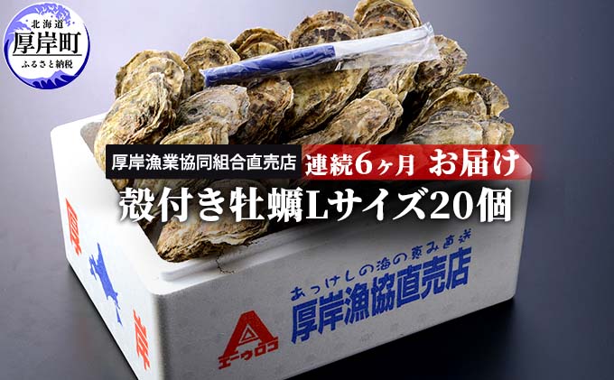 定期便 6ヶ月 北海道 厚岸産 牡蠣 Lサイズ 20個 (各回20個×6ヶ月分,合計120個) 殻付き 生食 カキナイフ付き かき カキ 魚貝類 生牡蠣 