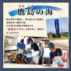 鷹島産本まぐろ定期便（1本分）【T00-001】（マグロ まぐろ 本マグロ 本まぐろ 鮪 赤身 中トロ 冷凍 刺身 刺し身 海鮮 海の幸 魚 魚介 九州 長崎 松浦市）