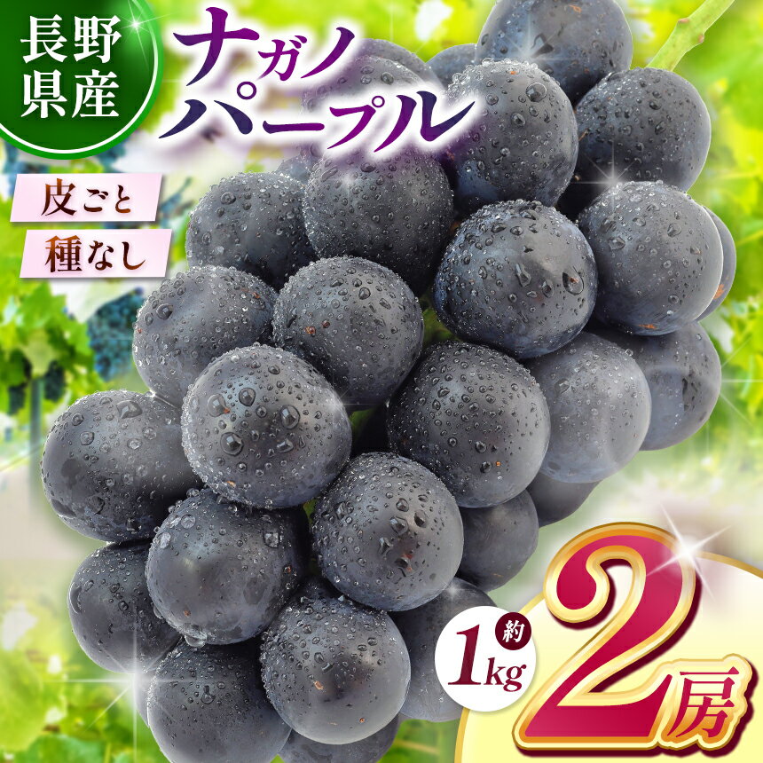 【ふるさと納税】【2026年先行予約】 ナガノパープル（2房） 【9月上旬以降順次発送予定】 | 果物 くだもの フルーツ 葡萄 ぶどう ブドウ ナガノ パープル 長野県 塩尻市