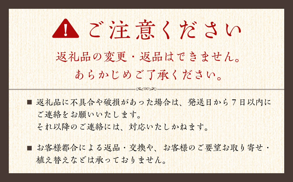 【観葉植物】サンスベリア 7号 ホワイトバスケット鉢カバー 土の表面：ウッドチップ 土の表面:ウッドチップ ｜観葉植物 インテリア 部屋 おしゃれ 福岡県筑前町 送料無料