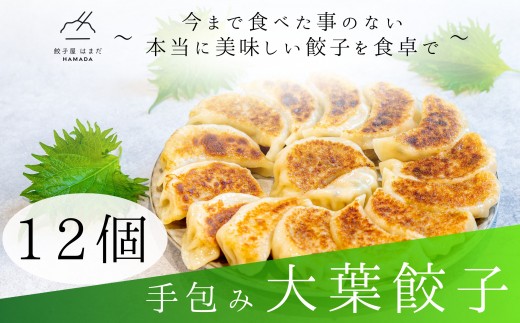 手包み大葉餃子Sパック　12個入り