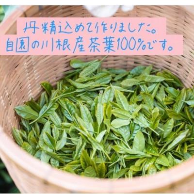ふるさと納税 島田市 川根茶　上級煎茶あさぎり100g袋×5袋セット |  | 03
