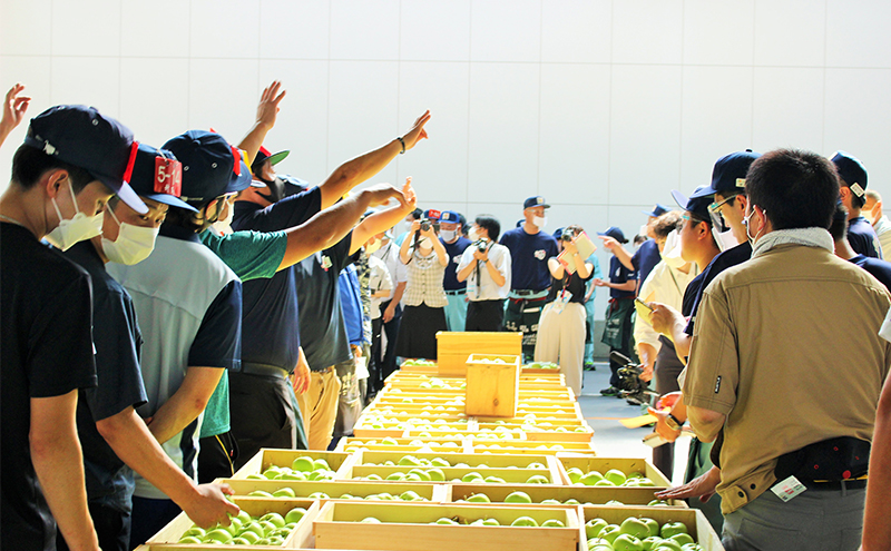 りんご 【 12月発送 】 贈答用 サンふじ ・ 王林 詰め合わせ 約 5kg