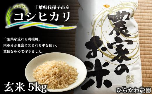 EM菌で作った旨味たっぷりのお米 コシヒカリ 玄米 5kg