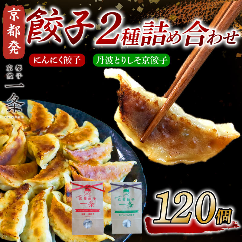【ふるさと納税】 餃子 2種詰め合わせセット にんにく餃子 ＆ 丹波とりしそ京餃子 120個 冷凍 ぎょうざ ギョウザ ギョーザ しょうが 生姜 豚肉 簡単調理 惣菜 絶品 おかず お子様 家族 餃子 人気餃子 簡易包装餃子 冷凍生餃子 京都 井手町 京都餃子一条【231】