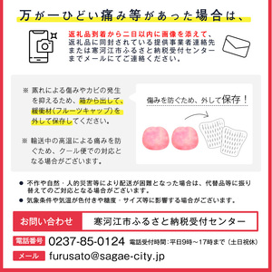 大きな すもも 「秋姫」 1.5kg（9〜12玉）山形産 2024年産 令和6年産 【2024年9月中旬頃～9月末頃発送予定】　012-B-MM020