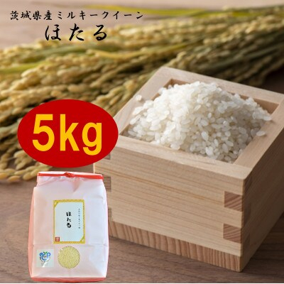 
            茨城県産ミルキークイーンほたる5kg【1342893】
          