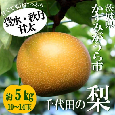 
                  ＜2026年出荷受付＞茨城県　千代田の梨(豊水・秋月・甘太いずれか)約5kg【1329113】
                