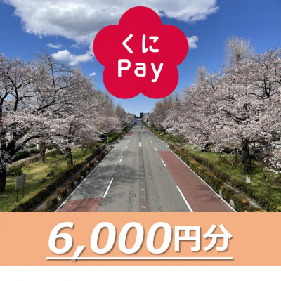 
                  国立市デジタル地域通貨『くにPay』6,000ポイント【1587148】
                