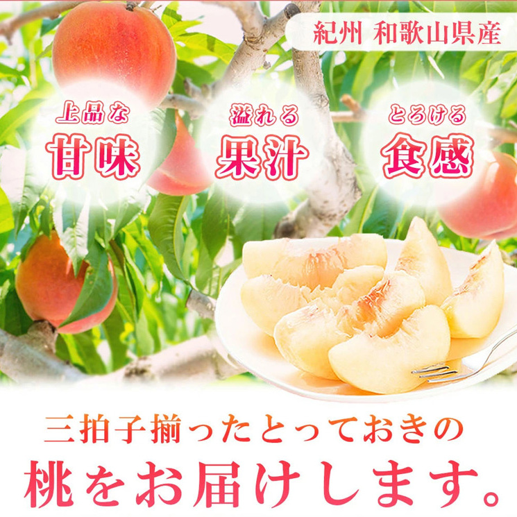 紀州和歌山産の桃 15玉 化粧箱入◇ ※2025年6月下旬～8月上旬頃に順次発送予定_イメージ2