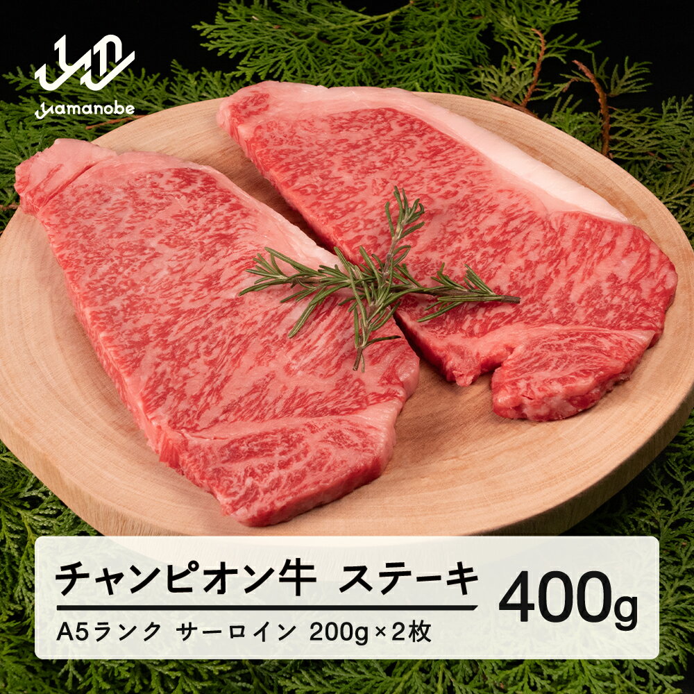 【ふるさと納税】第30回山形県家畜商牛枝肉共進会チャンピオン受賞 山形牛 サーロインステーキ 400g(200g×2枚) A5ランク 牛肉 黒毛和牛 国産 送料無料 tc-cpstx400 ※沖縄・離島への配送不可