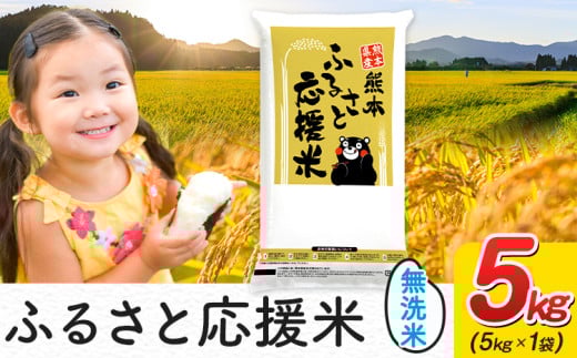 米 無洗米 家庭用 熊本 ふるさと応援 米 5kg 熊本県産 白米 精米 山江村 ブレンド米 国産 洗わず おうちご飯 返礼品 発送 配送 SDGs《7-14日以内に出荷予定(土日祝除く)》