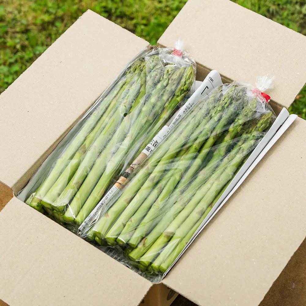 数量限定 訳あり なたぎり アスパラ 1kg 令和8年産 2026年産  in-vgafx1