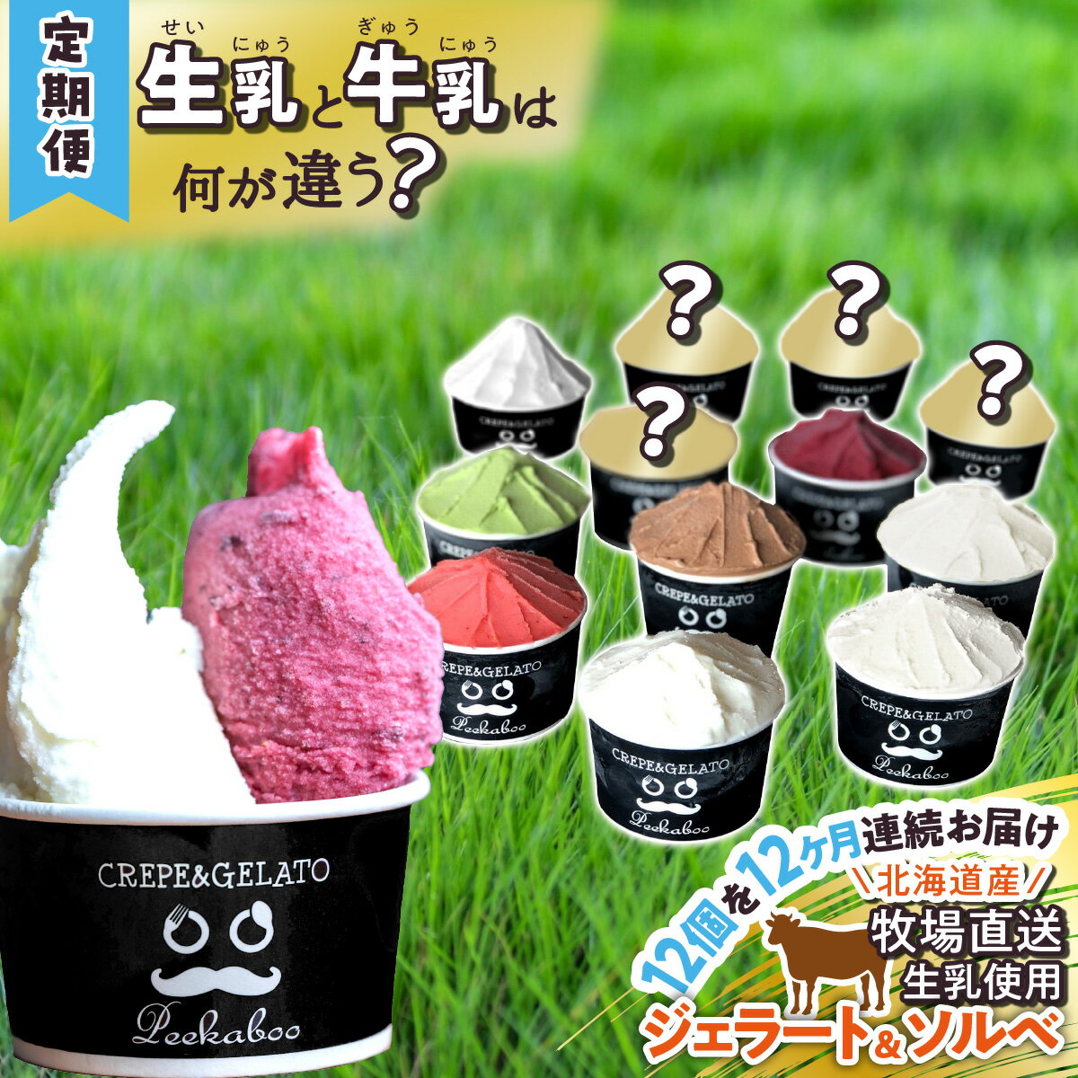 【ふるさと納税】 ＜12ヶ月定期便＞ アイス ジェラート ソルベ 毎月 12個 北海道産 生乳 ジェラートセット スイーツ ミルク カップアイス カップ 詰め合わせ 冷凍 北海道 新ひだか町