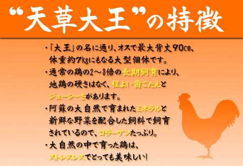 くまもと地鶏 天草大王 一羽まるごとセット 1.5kg もも肉 むね肉 地鶏 鶏肉 鶏 むね もも ささみ 炭火焼 人気 希少 貴重 美味しい ヘルシー ジューシー セット 食べ比べ 熊本 阿蘇