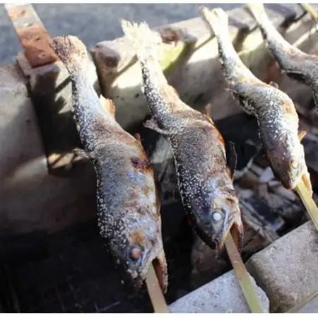 渓流の女王　アマゴ(冷凍24尾入り)【配送不可地域：離島】【1714766】