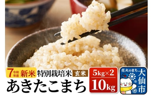 新米 米 令和7年産【特別栽培米】あきたこまち【玄米】10kg（5kg×2）