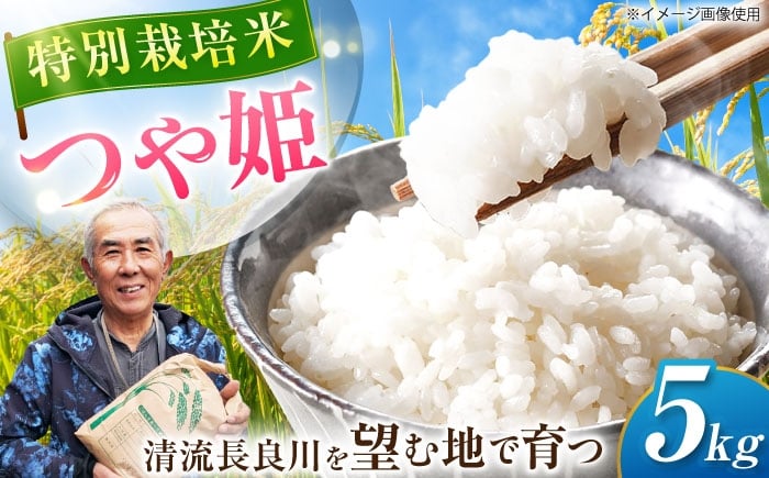 
            特別栽培米 つや姫 5kg お米 白米 精米 岐阜市 / 羽賀政夫 [ANDZ004]
          