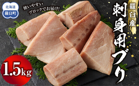 羅臼産刺身用ブリ　1.5kg　｜刺身　北海道