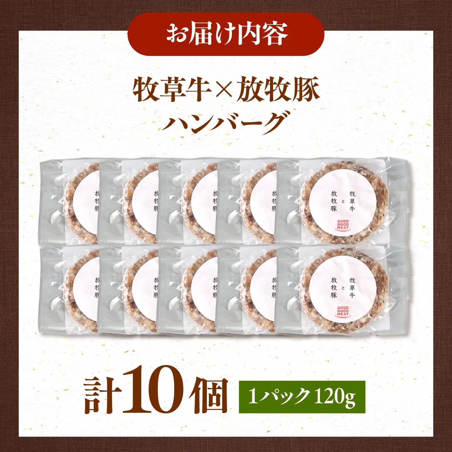 【全12回定期便】【牧草牛×放牧豚】ハンバーグ 10個 牛肉 豚肉 小分け 冷凍 北海道 [AXBP041]