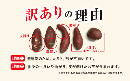 【先行予約】【訳あり】香取市産 さつまいも 紅はるか 約10kg×1 焼き芋やスイートポテトにどうぞ KTRW003 / 芋 サツマイモ さつま芋 紅はるか べにはるか ベニハルカ 焼き芋 焼芋 焼い