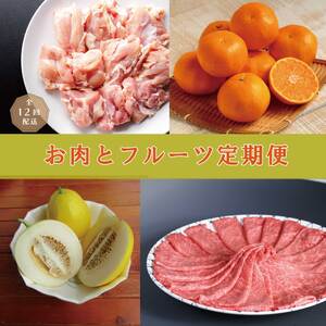 【12回定期便】丸福 お肉とフルーツ 定期便／ 佐賀牛 ハンバーグ キンショウメロン ハウスみかん【Z041】