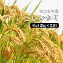 【ふるさと納税】令和6年産 しまね川本 こしひかり 4kg(2kg×2) 島根県 川本町産 精米 藤屋 石見米