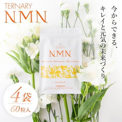 ふるさと納税 伊豆市 ターナリ—NMN(60粒入パウチ)×4袋