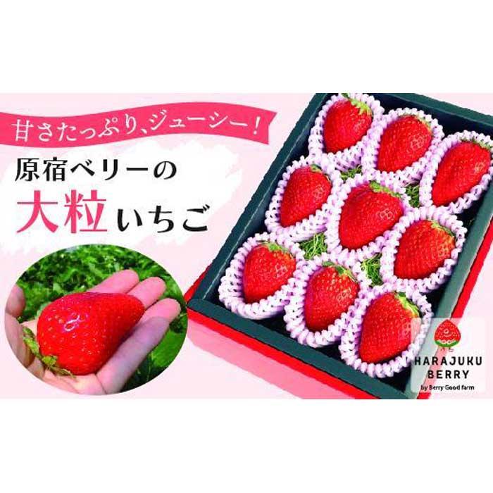 【ふるさと納税】【先行予約受付】≪2026年2月発送≫原宿ベリーの「大粒いちご」【フルーツ 果物 くだもの 食品 人気 おすすめ 】 | 苺 スカイベリー 果物 くだもの フルーツ 期間限定 数量限定 栃木県 栃木市 【お届け不可地域：沖縄・離島】