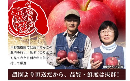 中野果樹園のサンふじ3kgとりんごジュース720ml×2本