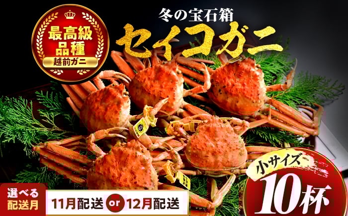 
            【先行予約】 【希望月指定可】 セイコガニ（ズワイガニのメス） 小サイズ 10杯 / 越前ガニ コッペガニ せいこ蟹 ボイル 小浜市 / まるほ商店 【配送不可地域：北海道・沖縄・離島】[BFCS016]
          