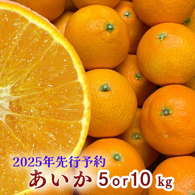 【ふるさと納税】 【 先行予約 】【訳あり】農家直送 あいか 5kgまたは10kg 紅まどんな と同種 みかん 【訳あり】名前だけが訳あり 愛媛 松山 フルーツ 果物 くだもの 10キロ 5キロ 数量 期間限定 送料無料 不揃い 柑橘 果物 フルーツ 松山市 愛媛県 お歳暮