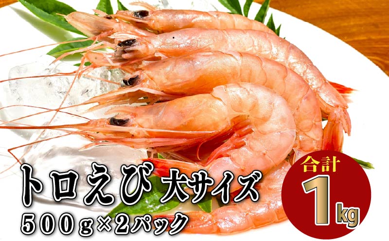 トロ えび 冷凍 海老 大 サイズ 1kg 500g 2パック お刺身 エビチリ エビ餃子 静岡 沼津