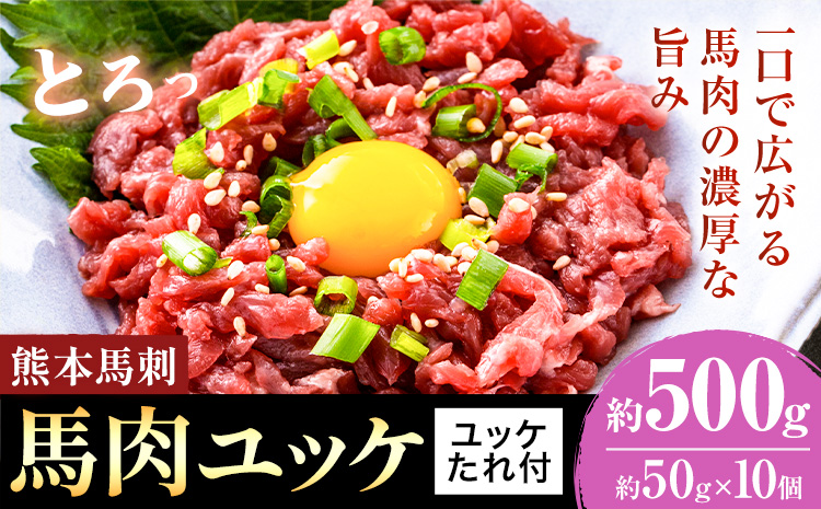 熊本 馬刺し 馬肉ユッケ 約500g ユッケたれ付き 合同会社トライウィン《90日以内に出荷予定(土日祝除く)》熊本県 菊池市 馬刺 刺身 馬肉 ユッケ たれ付き 小分け 個包装 冷凍 送料無料---